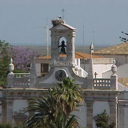 Plein Centre Du Vieux